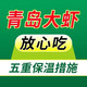 青岛大虾超大海虾鲜活冷冻白虾对虾大虾新鲜海捕大虾海鲜非基围虾