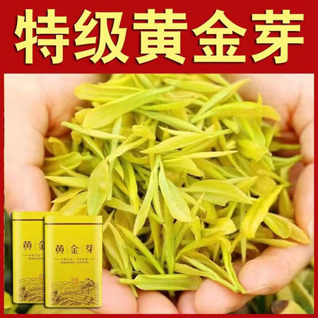 州佐ZHOUZUO 特级黄金芽【奶香花香】高山绿茶茶叶浓香耐泡甘甜批发价图片