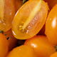 八九十枝花 有机黄金小番茄圣女果 有机种植、番茄味浓郁、口感好汁水丰富