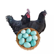水城德福 农家散养乌鸡蛋