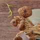 神农架 茶树菇干货菌子