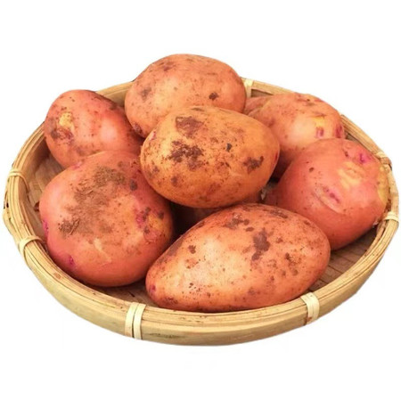 沃鲜汇 红皮土豆黄心小土豆新鲜应季蔬菜现挖土豆图片