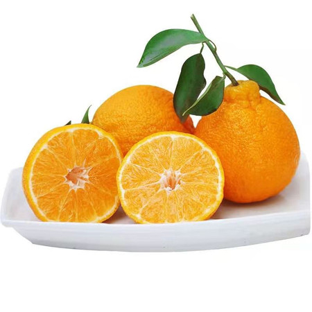 沃鲜汇 不知火丑橘四川新鲜丑八怪橘子当季水果图片