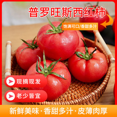 农家自产自销 普罗旺斯西红柿4.5斤装