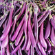 新鲜茄子长茄子细紫线茄土茄子福建蔬菜现摘茄瓜1/3/5斤
