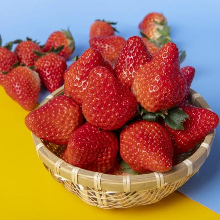  正宗丹东99草莓新鲜东港红颜九九草莓整箱当季水果新鲜草莓空运