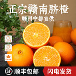 Taste Combustible 味可燃 【罗湖馆】正宗赣南脐橙 源头直供精品脐橙 顺丰包邮到家