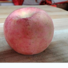 农家自产 东光自产红富士苹果