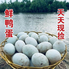 农家自产 生鸭蛋新鲜农家散养土鸭蛋20枚
