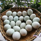农家自产 生鸭蛋新鲜农家散养土鸭蛋20枚