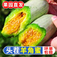 家佳惠 【现摘现发】头茬羊角蜜5斤装 山东新鲜当季蔬菜 脆甜多汁