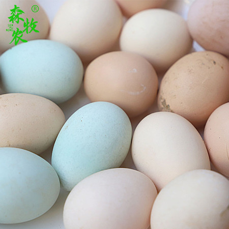 森牧农 新鲜土鸡蛋柴鸡蛋散养鸡蛋杂粮喂养蛋月子蛋2天内现捡鲜蛋60枚图片