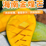 食欲跳动 金煌芒芒果 单果300g+ 海南果园直发 4.5斤  生熟采摘