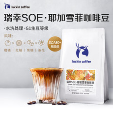 瑞幸咖啡 SOE 耶加雪菲咖啡豆250克/袋 中度烘焙