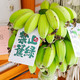  食欲跳动 禁止蕉绿 水培香蕉6斤箱装（带根2-3串） 可观赏黄了后可食用