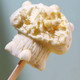 瑞滋士 滋士蘑菇 巧脆豆口味 12支装 高端营养冰激凌 RZS004