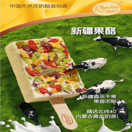 瑞滋士 新疆果酪12支装奶酪冰激凌 果干添加量大于20% RZS005图片