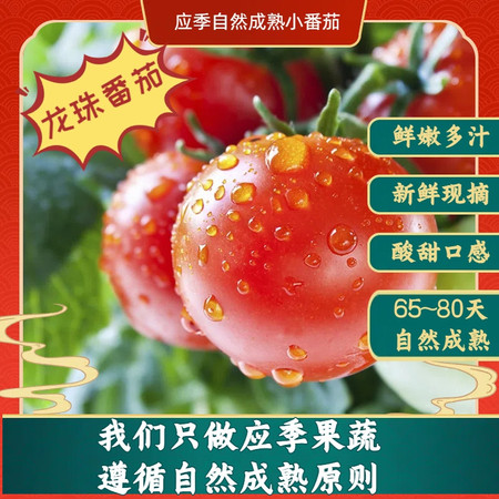 食欲跳动 龙珠番茄 3斤装 上海本地无棚种植 现摘现发 只发江浙沪图片
