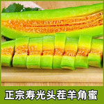 农家自产 【潍坊馆寿光零售】羊角蜜甜瓜新鲜水果3斤装（领券立减10元）