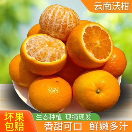 万众缘 云南凤庆高山沃柑 应季水果 皮薄桔甜 肉嫩爆汁图片