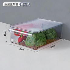 冰箱收纳盒带盖食品级蔬菜食物整理神器水果保鲜盒冷藏专用储物盒