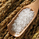 龙稻 五常大米每日鲜5kg