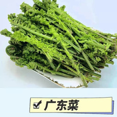 吉味天利海 山野菜臻品礼盒三