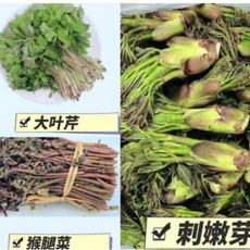 吉味天利海 山野菜尝鲜礼盒二