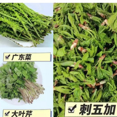 吉味天利海 山野菜小仙礼盒一