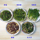 农家自产自销 "蛟河山野菜组合2 (净6斤菜/省内包邮） （刺老芽1.5斤
