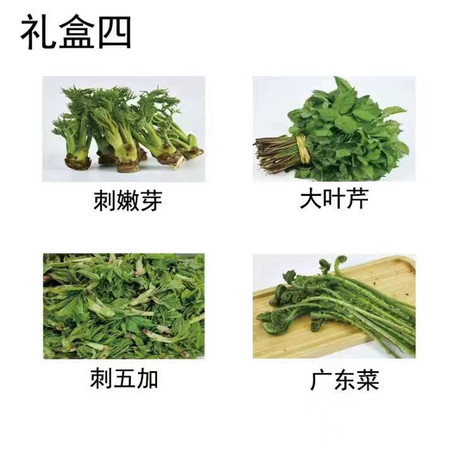 吉味天利海 山野菜全品礼盒四（4斤菜/省内包邮）W图片