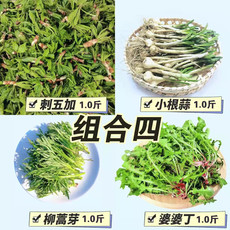 农家自产自销 蛟河山野菜组合4 (净4斤菜/省内包邮）w