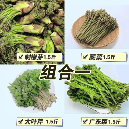 农家自产自销 "蛟河山野菜组合1 (净6斤菜/省内包邮） （刺嫩芽1.5斤