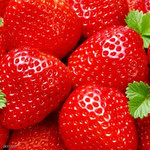 胚粒健 奶油草莓1公斤