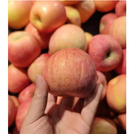 农家自产 农家自产  苹果6斤装