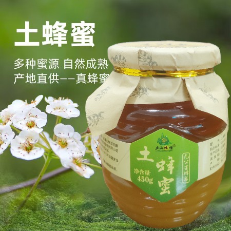 庐山蜂情 修水天然土蜂蜜百花蜜源深山蜂巢蜜农家百花蜂蜜450g