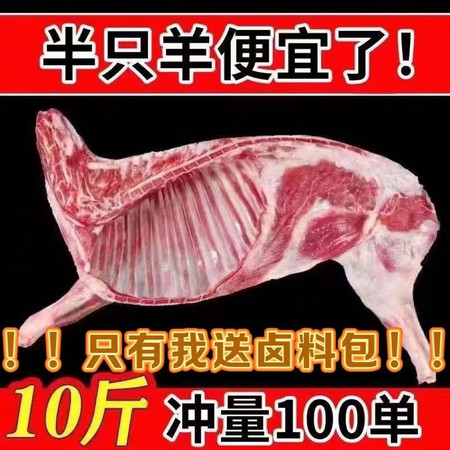 羊小呆 内蒙古散养羊排羊腿羊蝎子新鲜羊肉 0添加 半只羊可切块