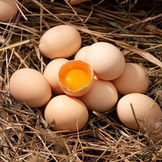 农家自产 山林散养土鸡蛋初生蛋草鸡蛋 多规格