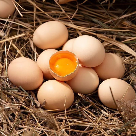 农家自产 山林散养土鸡蛋初生蛋草鸡蛋 多规格