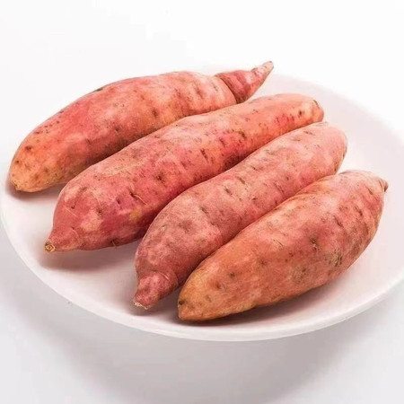 农家自产 龙九蜜薯5斤图片
