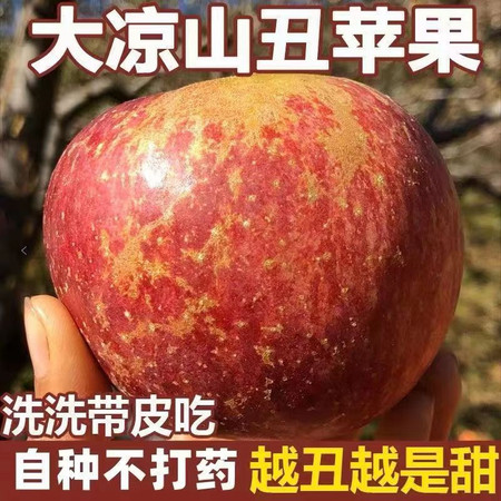 农家自产 大凉山高山丑苹果 特大果9斤（90-100mm）
