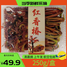 农家自产 达州田农优选农家自产红香椿新鲜二茬精品