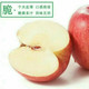 农家自产 红富士苹果（75#）