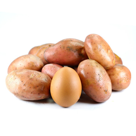 农家自产 红皮小土豆 新鲜农家蔬菜红皮黄心土豆马铃薯洋芋图片