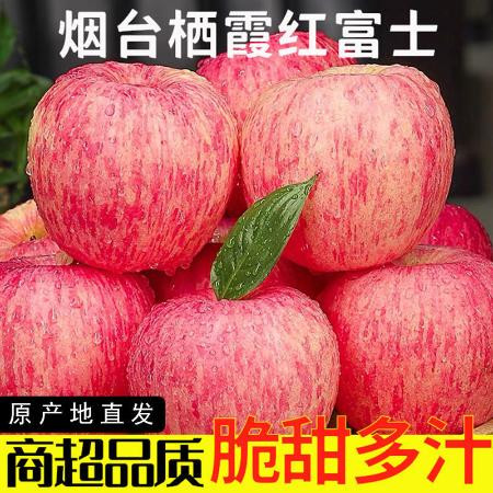 山东烟台苹果栖霞红富士脆甜整箱新鲜当季水果平果一级包邮10斤图片