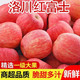 正宗洛川苹果红富士脆甜不打蜡水果新鲜当季现摘10/5/3斤整箱批发