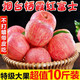 山东烟台栖霞红富士苹果脆甜新鲜水果一特级批发整箱5/10斤丑平果