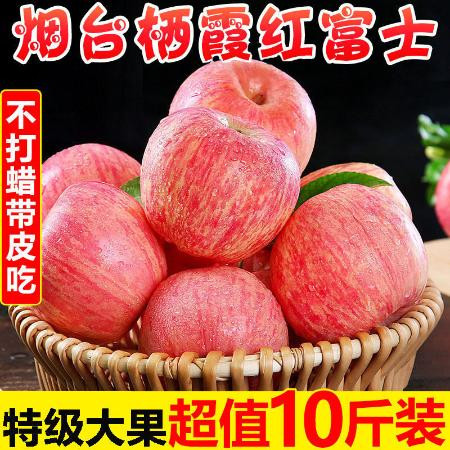 山东烟台栖霞红富士苹果脆甜新鲜水果一特级批发整箱5/10斤丑平果图片