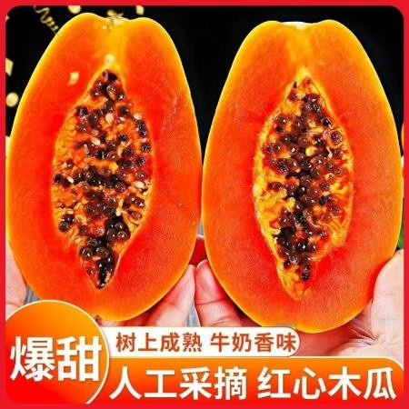 【爆甜】广西红心牛奶木瓜当季热带新鲜水果催乳煲汤冰糖心木瓜