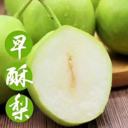 陕西早酥梨当季水果脆甜多汁1/5/9斤包邮图片